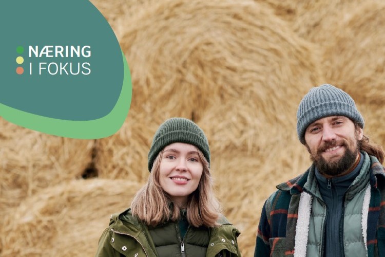 Næring i fokus