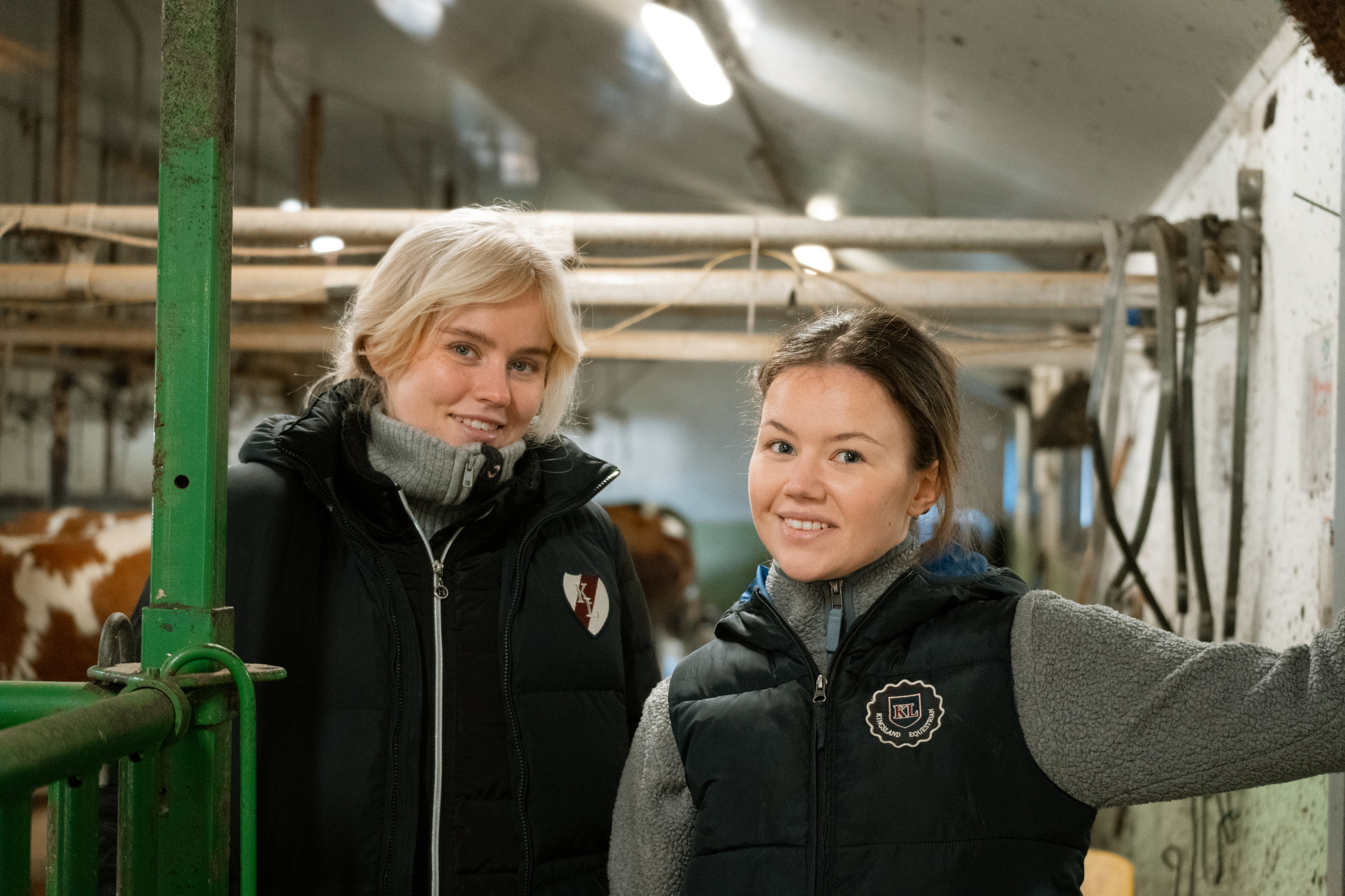 To damer med melkekyr i bakgrunnen